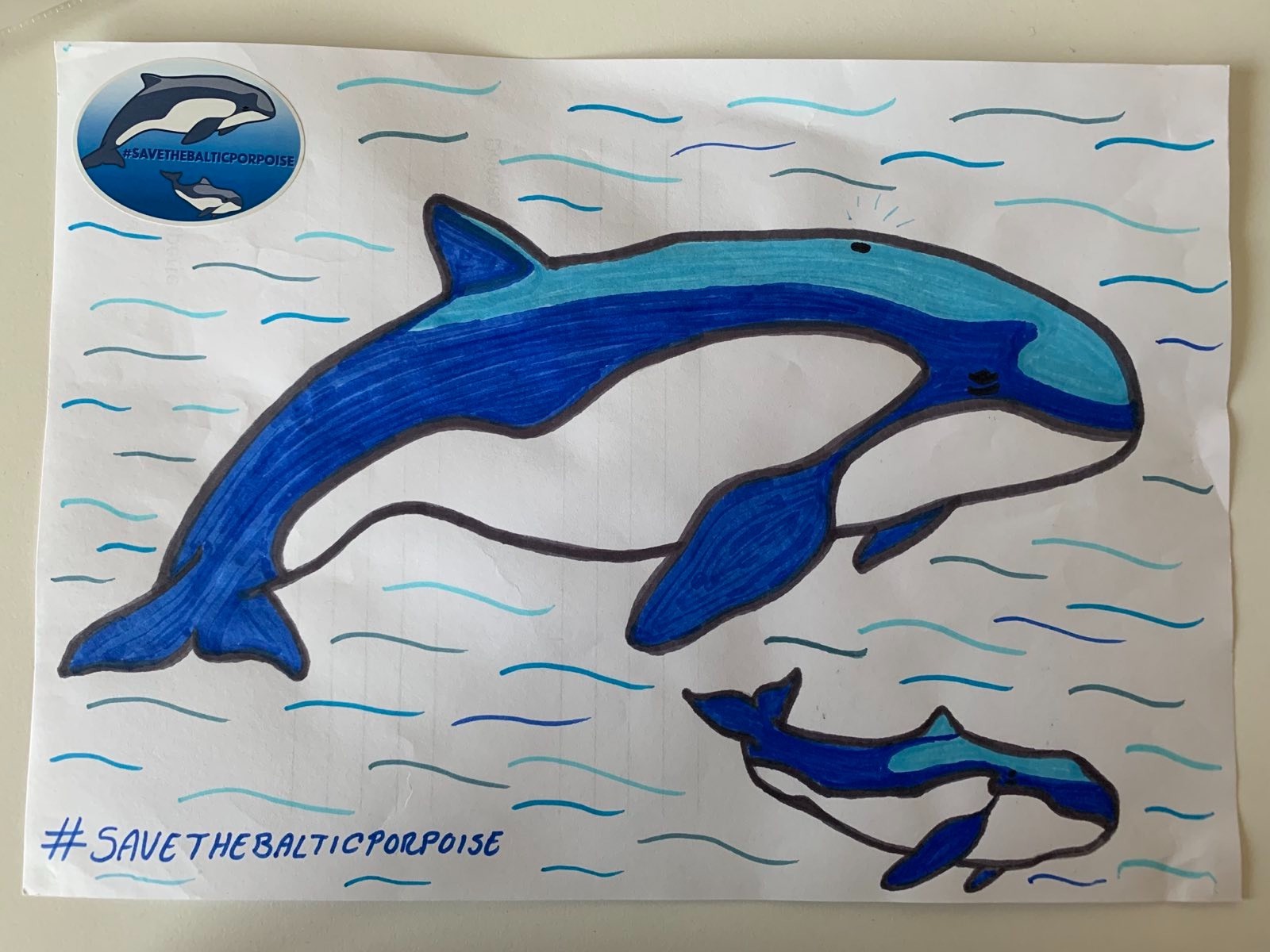 Disegno di una focena adulta e un cucciolo di balena con l'hashtag #SaveTheBalticPorpoise hashtag
