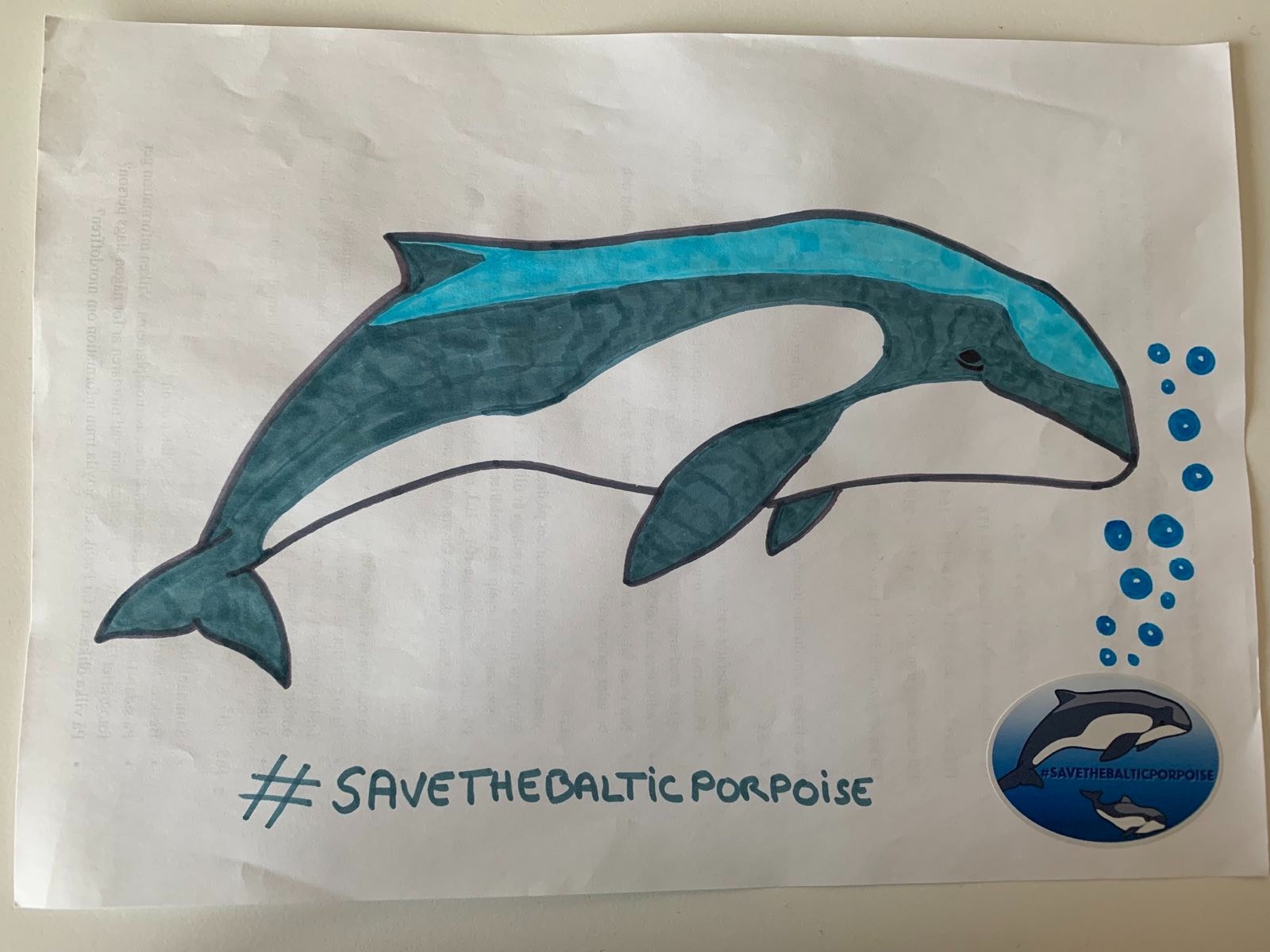 Drawing of a blue porpoise, with the #SaveTheBalticPorpoise hashtag