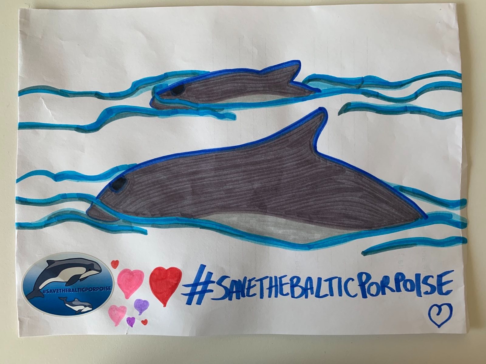 Zeichnung von zwei Schweinswalen, die aus dem Meer auftauchen, mit dem Hashtag #SaveTheBalticPorpoise